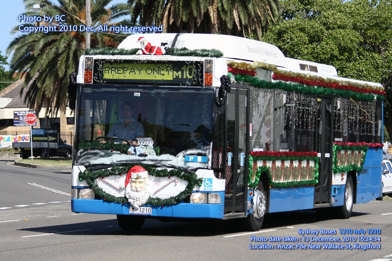1210_IMG_8446.jpg