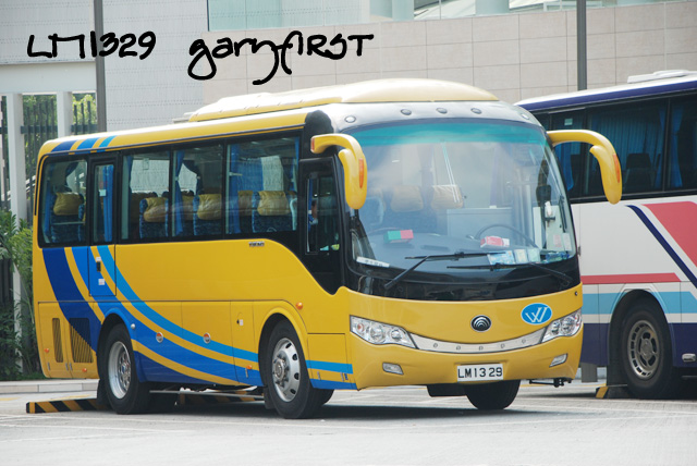 lm1329.jpg