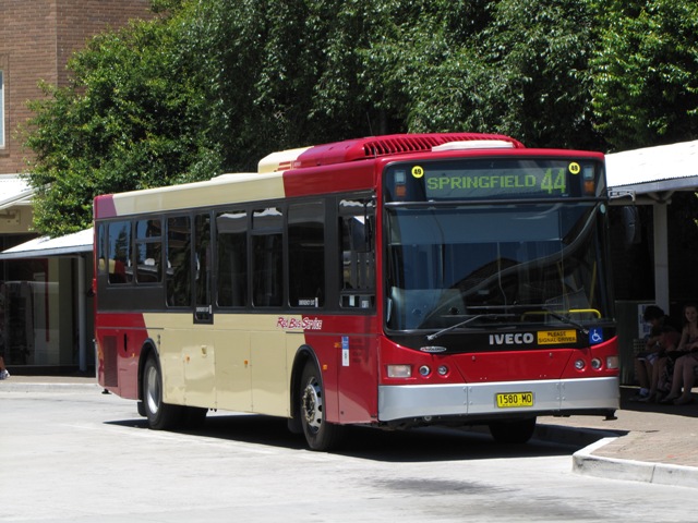 red-49-1.JPG