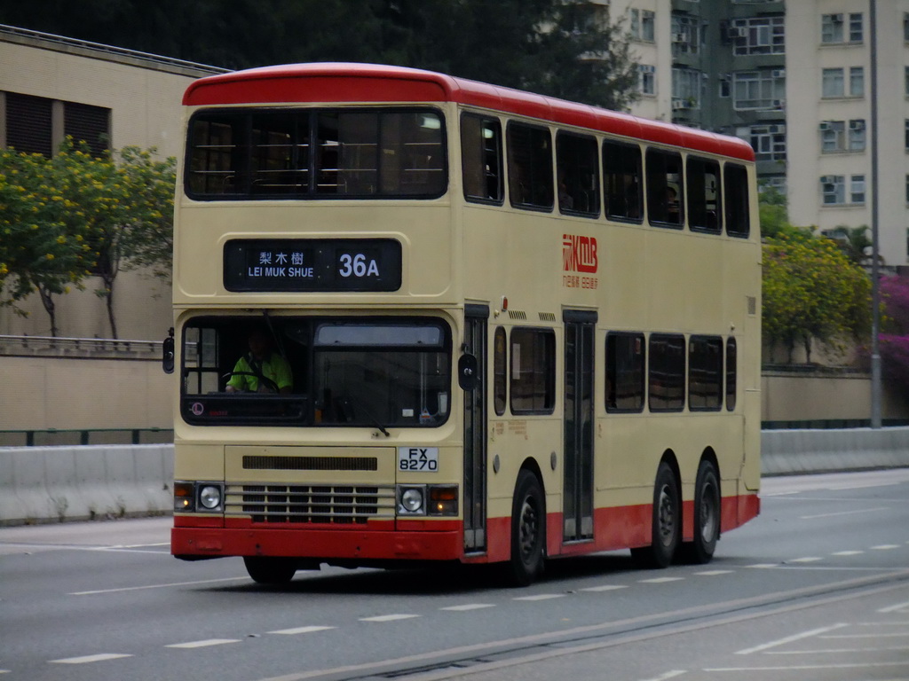 DSCF4856_resize.JPG