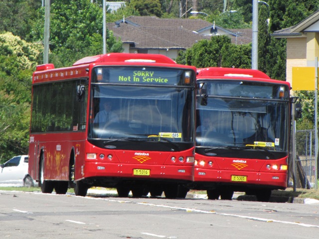 5316-5305-1.JPG