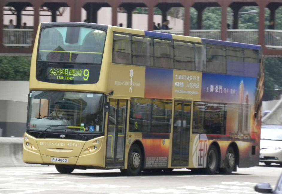 PJ4803@9-5.jpg