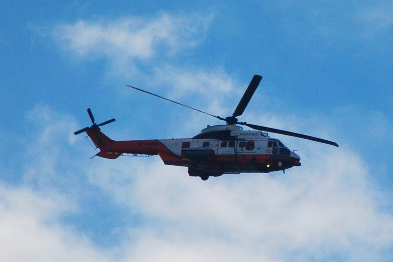 B-HRN.JPG