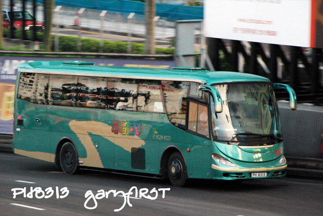 ph8313.jpg