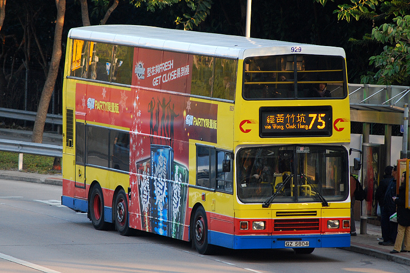 DSC_5290.JPG