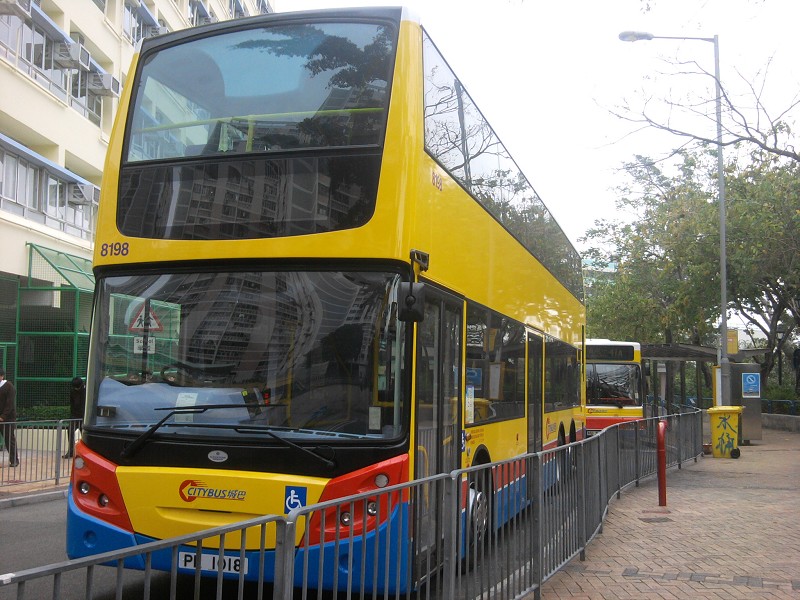 8198.jpg