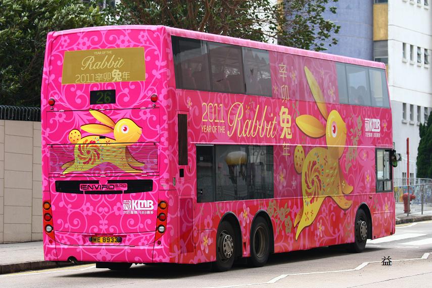 ME 8933 @ 26 (rabbit) 2.JPG