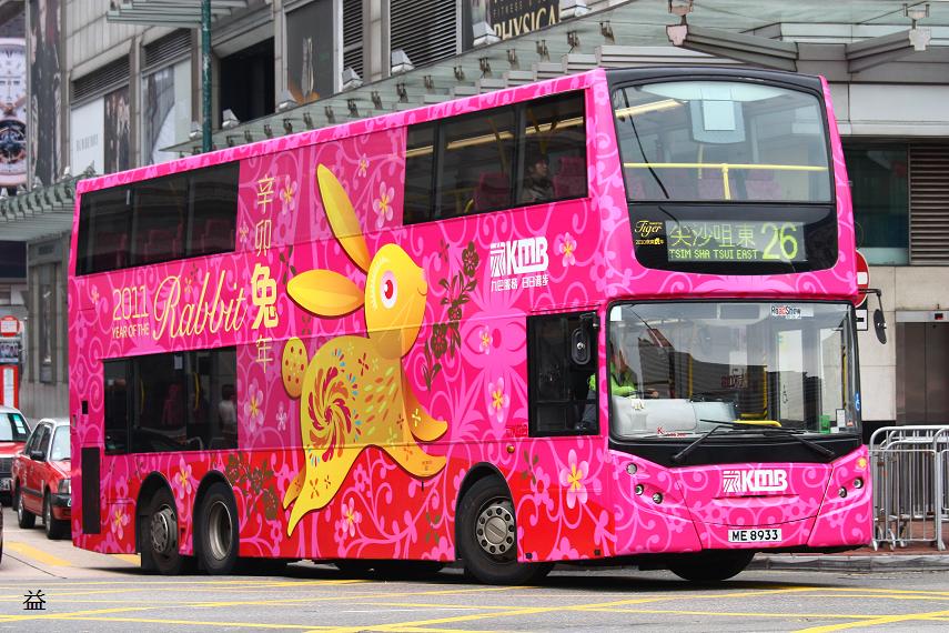 ME 8933 @ 26 (rabbit) 3.JPG