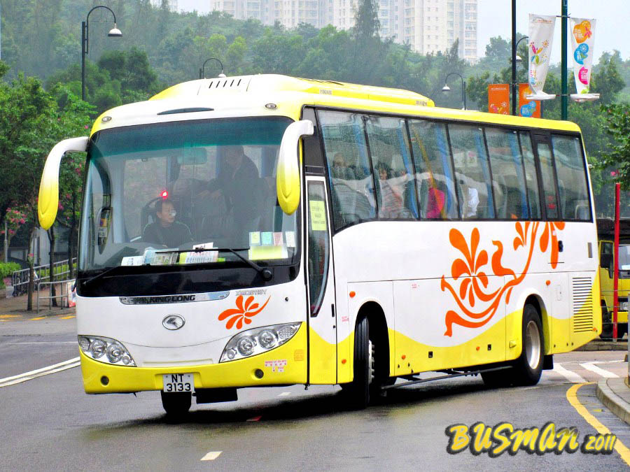NT3133-a.jpg