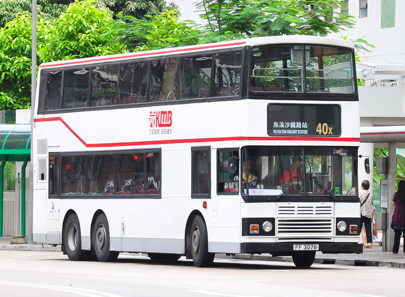 FF3078_40X_2.jpg
