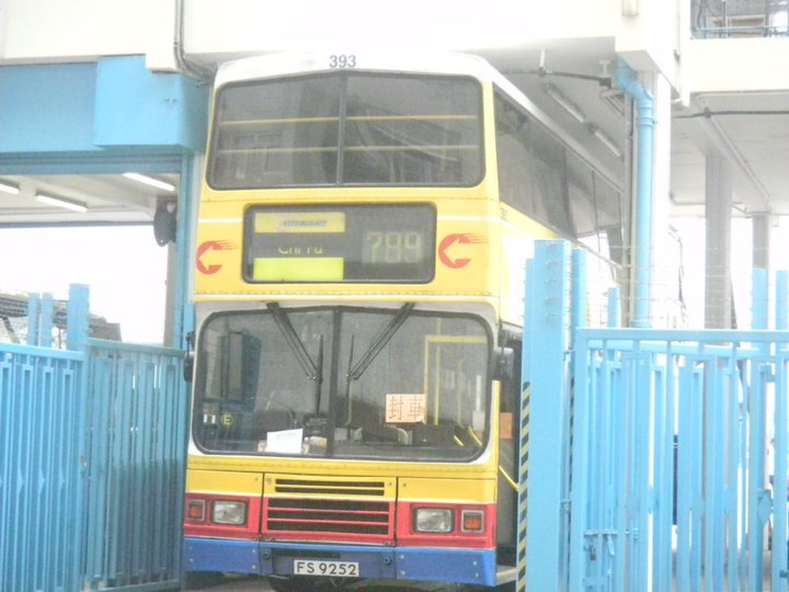 393.jpg