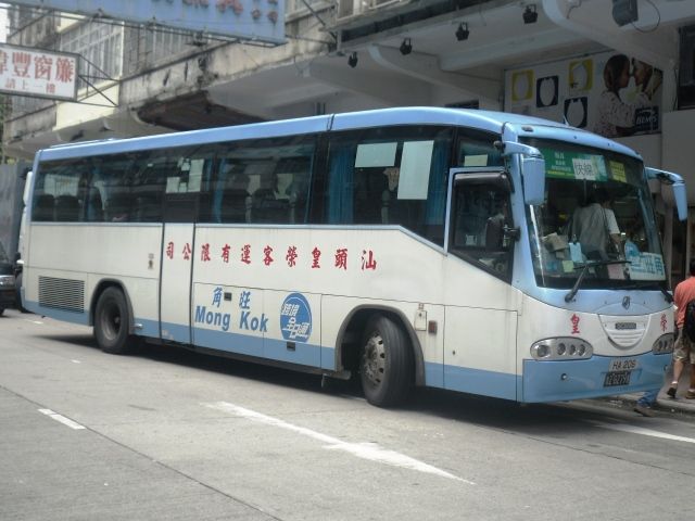 01.jpg