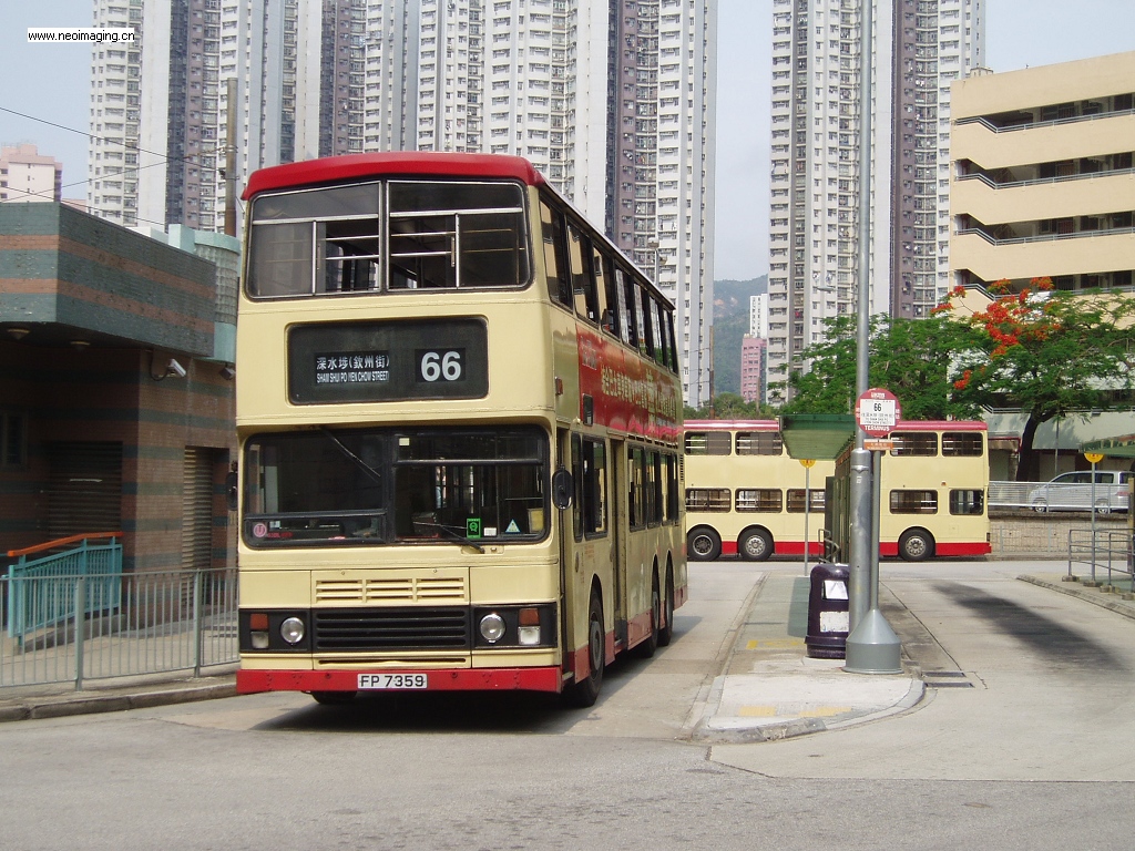 P1010369.JPG