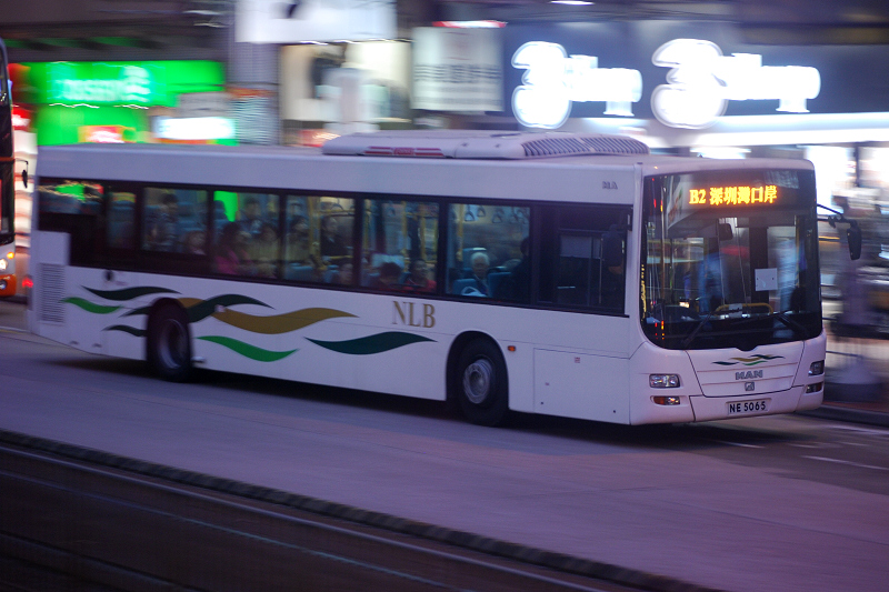 DSC_5441.JPG