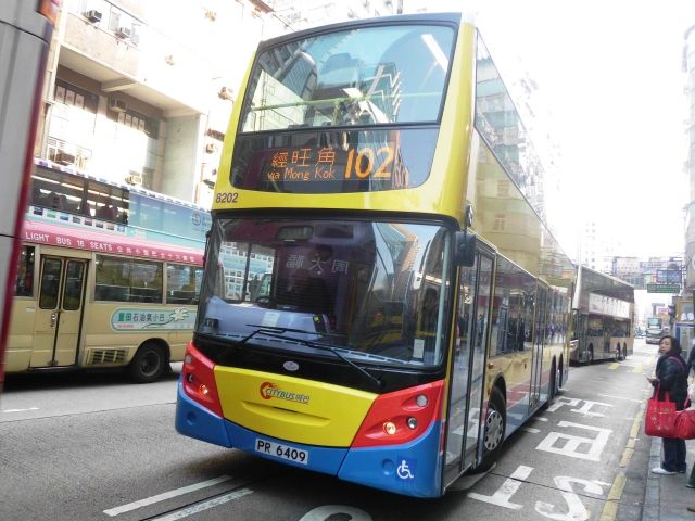 12.jpg