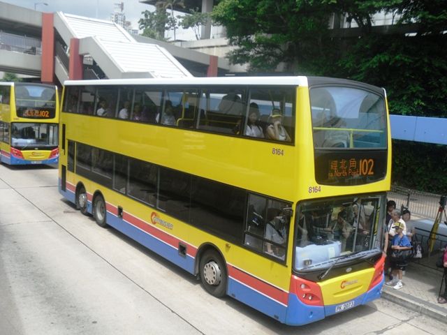 46.jpg