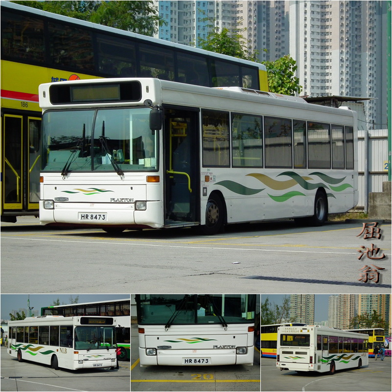 NLB DART 1.jpg
