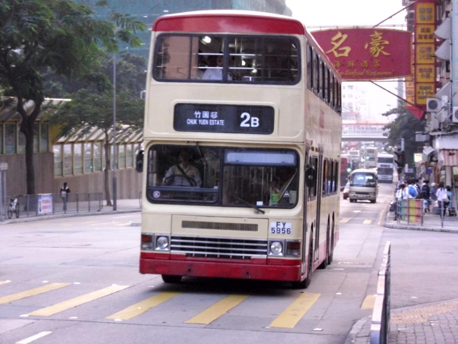 FY5856.JPG
