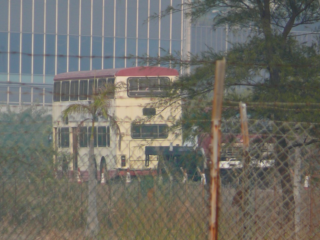 P1060269-1.jpg