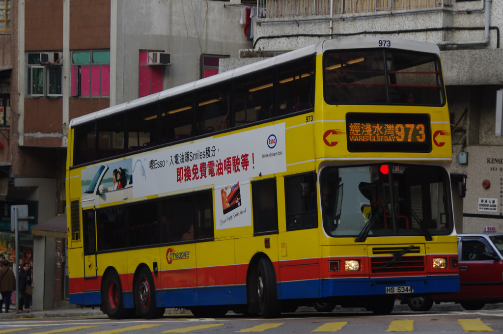 973.jpg