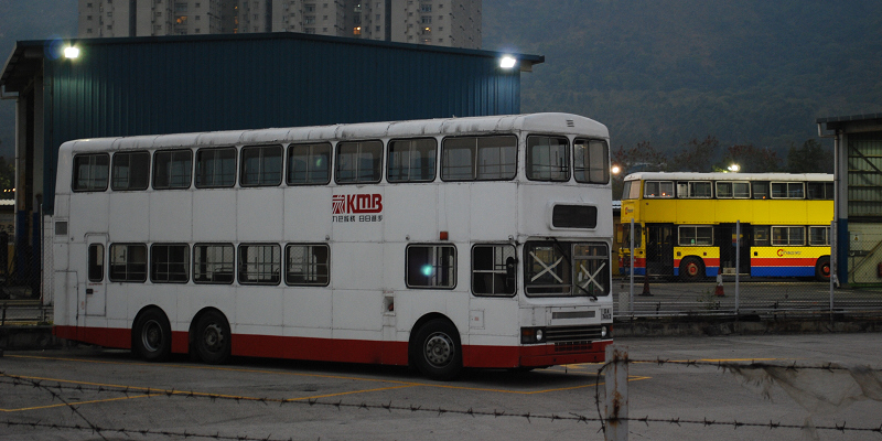 DSC_6391.JPG