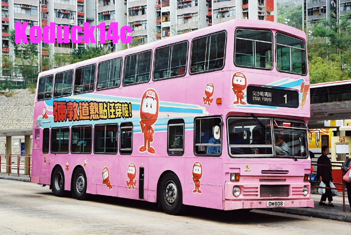 DM608.jpg