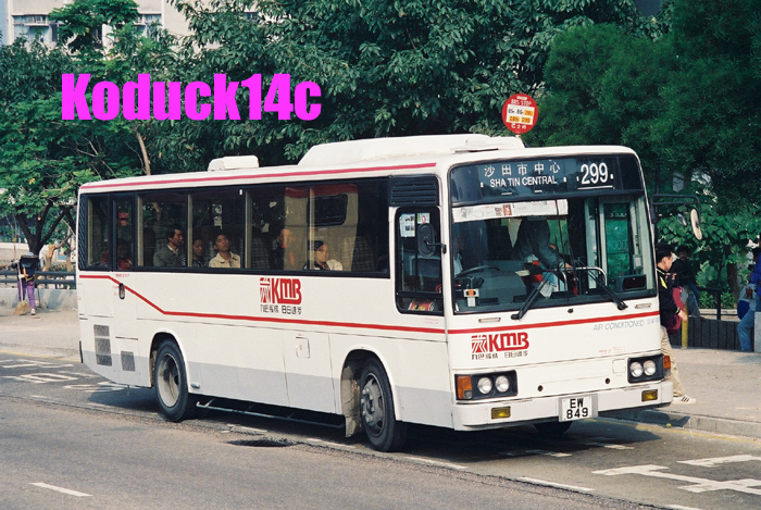 299.jpg