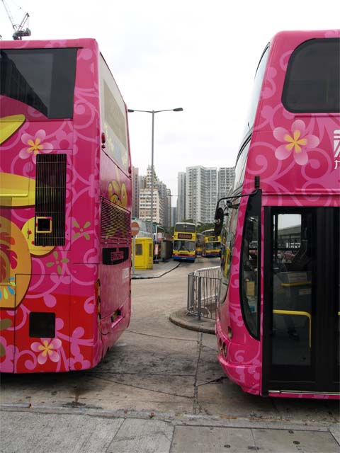 753.jpg