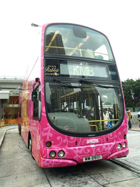 729.jpg