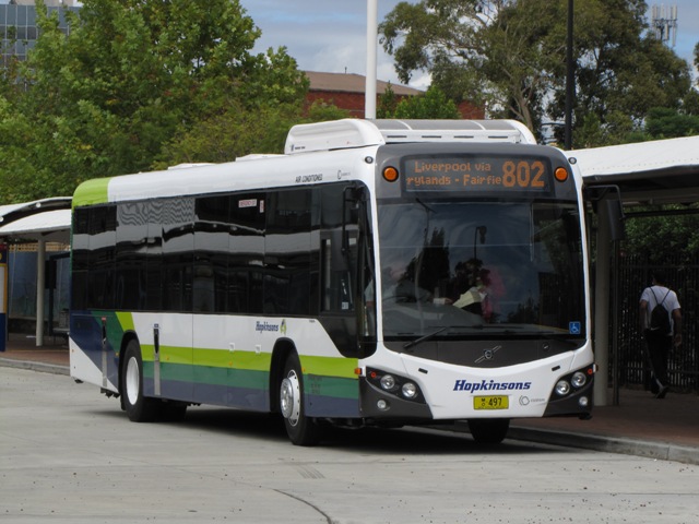 497-802-1.JPG