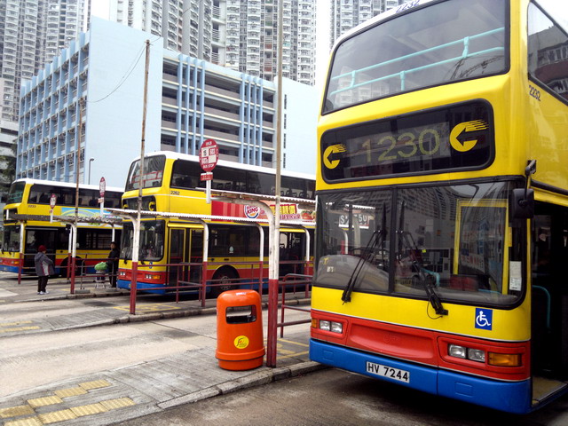20110104100_2.jpg