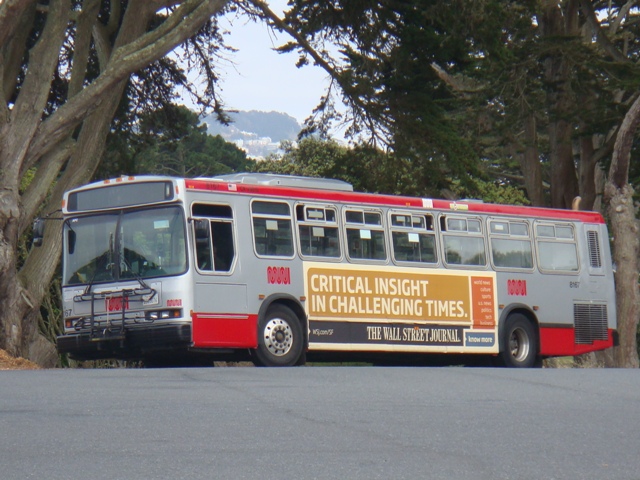 362.JPG