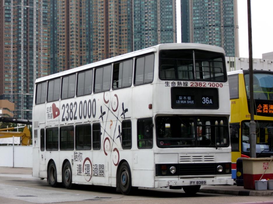 FY8389.JPG