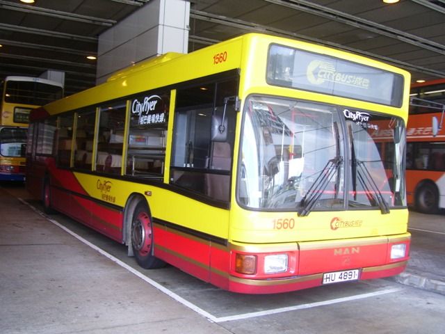 01.jpg