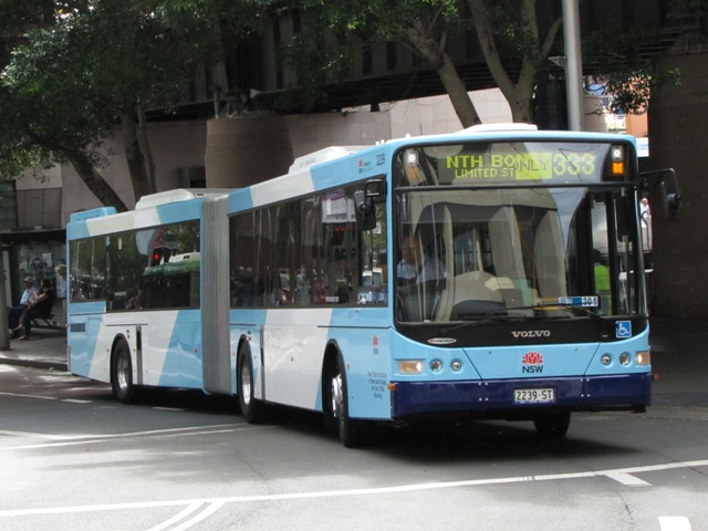 2239-333-1.JPG