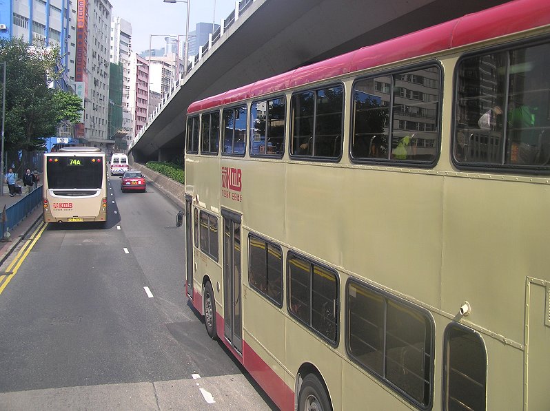P1032301r.jpg