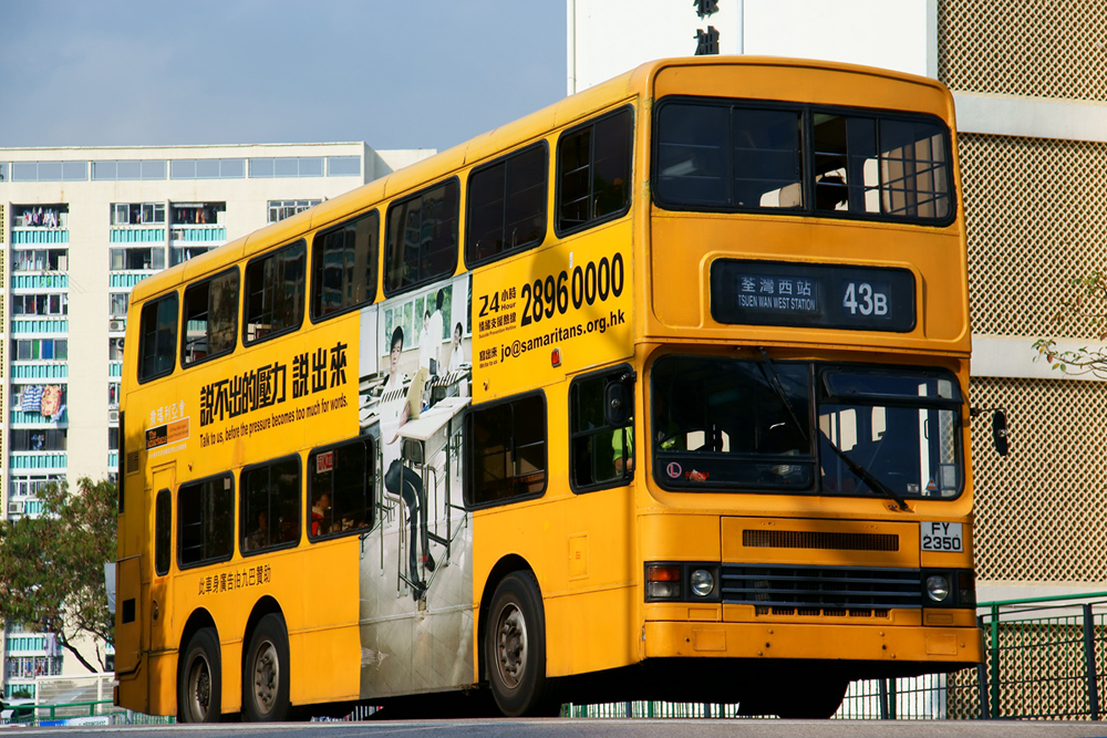 DSC00590sS.jpg