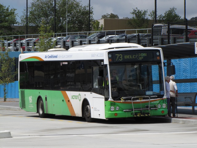 313-1.JPG