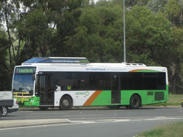 345-1.JPG