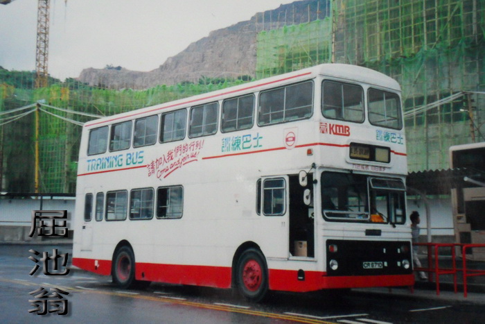 SDC13443.jpg