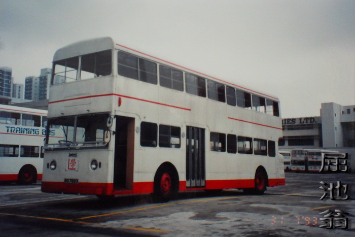 SDC13439.jpg