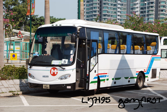 ly7195-2.jpg