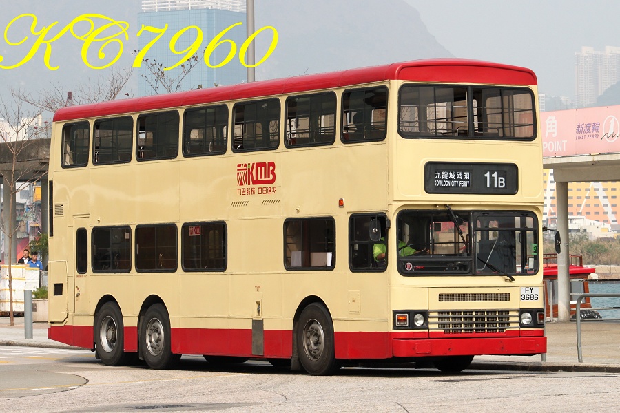 FY3686_11B.jpg