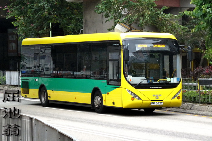 700 youngman 110308.jpg