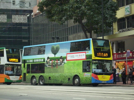 8163.jpg