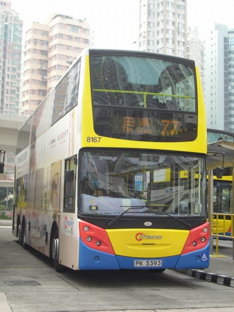 8167.jpg