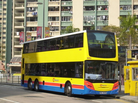 8203.jpg