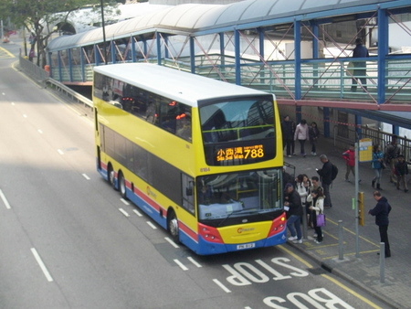 8184.jpg