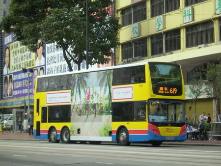 8137.jpg