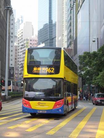8197.jpg